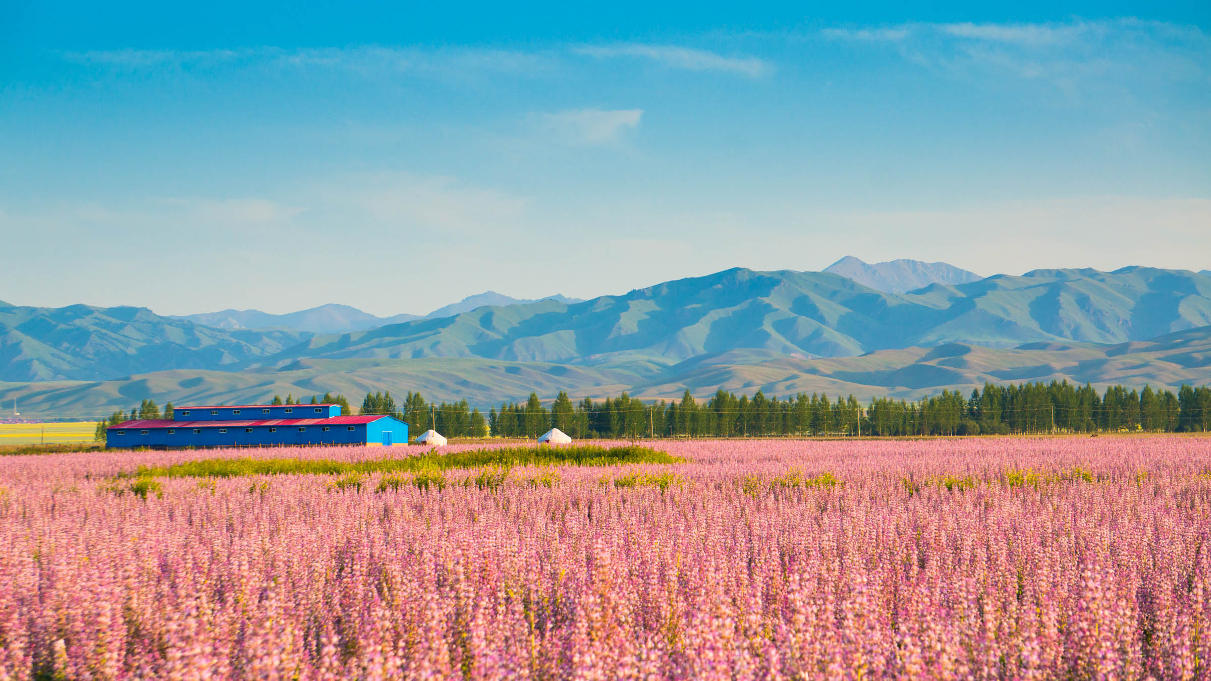 北疆大環線 夏季新疆最美自駕路線，一覽北疆絕色風光